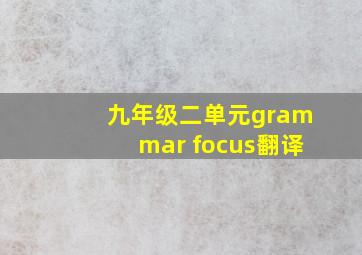 九年级二单元grammar focus翻译